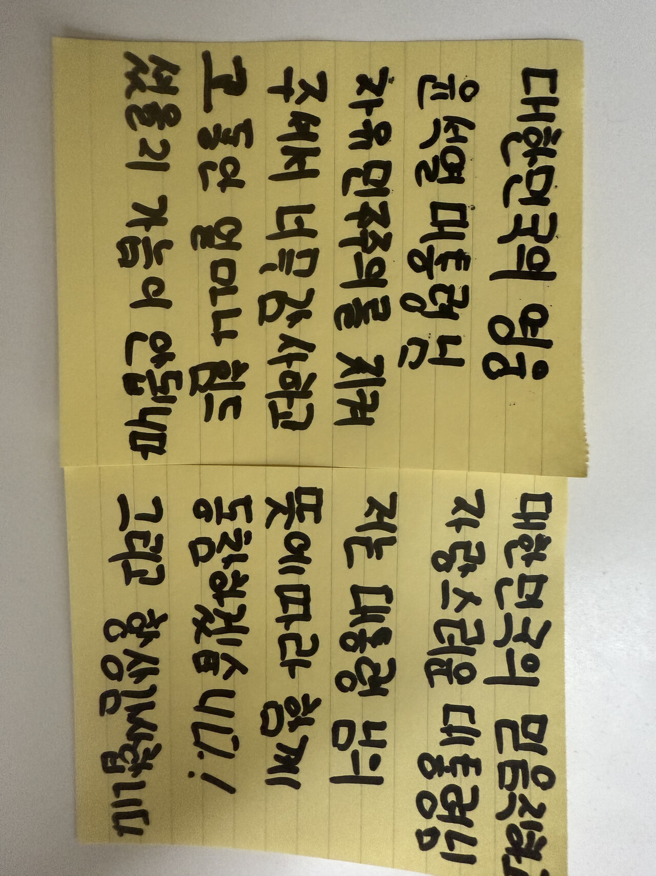 윤석열 대통령님 대한민국의 자유민주주의를 지켜주셔서 너무 감사합니다 < 특집 - 윤석열 대통령께 전하는 국민 편지 < 기획·연재 <  기사본문 - 프리진뉴스