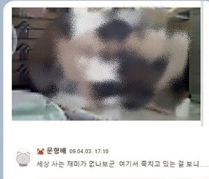 문형배, 음란물 공유 고교 동문 카페 총 323일 방문